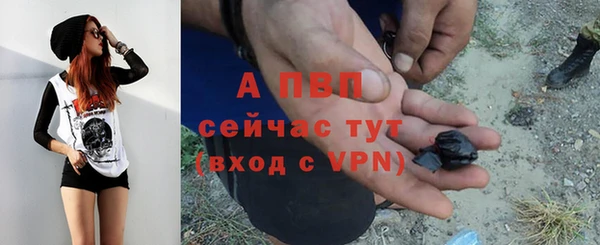 ПСИЛОЦИБИНОВЫЕ ГРИБЫ Яранск