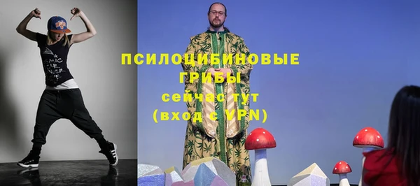 ПСИЛОЦИБИНОВЫЕ ГРИБЫ Яранск