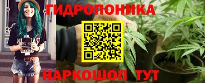 спайс Аргун