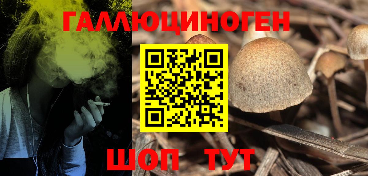 Галлюциногенные грибы прущие грибы  наркотики  Ахтубинск  Галлюциногенные грибы Magic Shrooms 