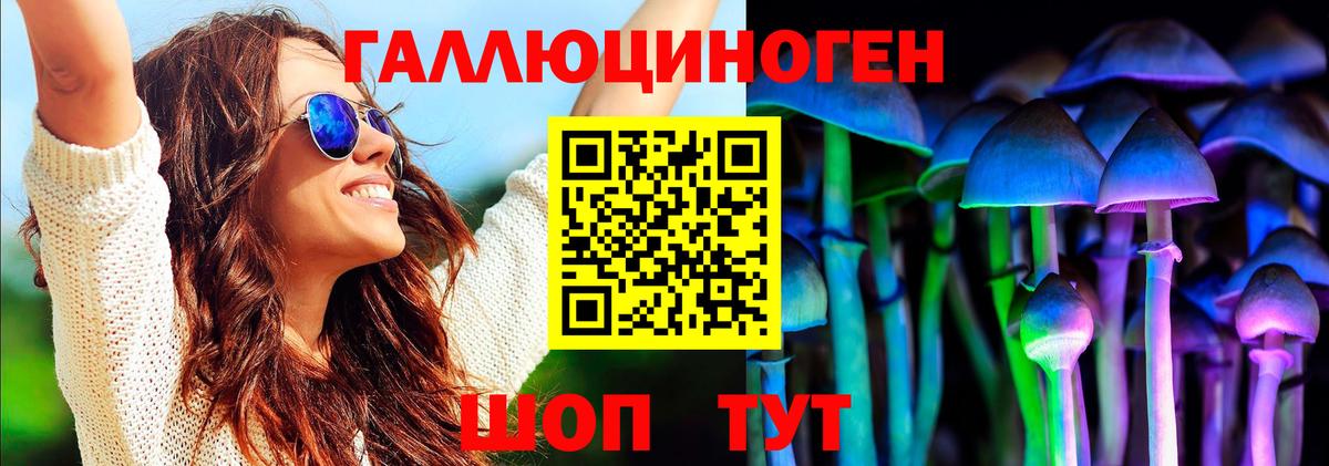 где продают наркотики  Псилоцибиновые грибы MAGIC MUSHROOMS  Вход с VPN  Ахтубинск 