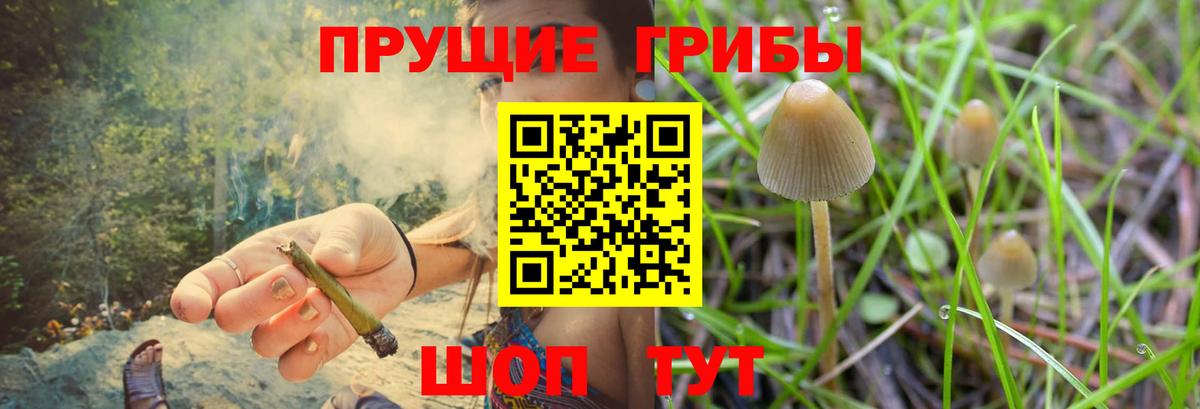 Галлюциногенные грибы MAGIC MUSHROOMS Ахтубинск